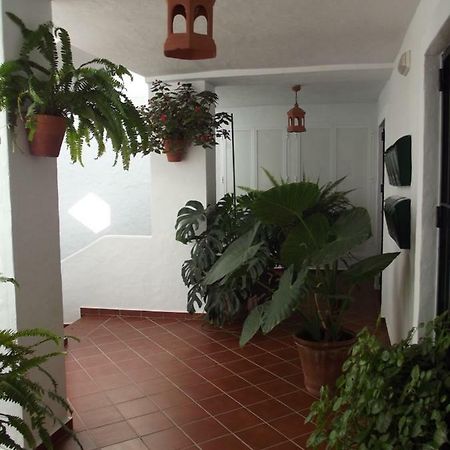 Apartamento En Conil Conil De La Frontera Extérieur photo